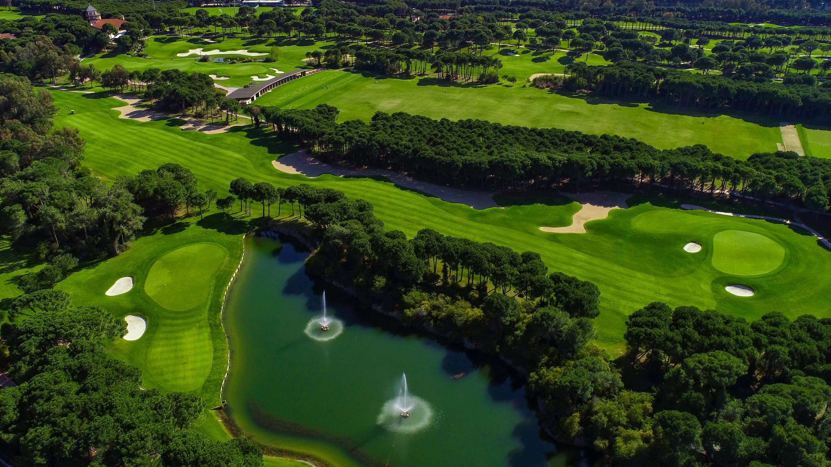 Padang golf