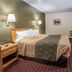 Bilik Tidur