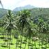 Pemandangan luar