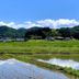 Pemandangan luar