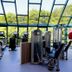 Gim