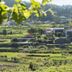 Pemandangan luar