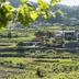 Pemandangan luar