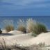 Pantai