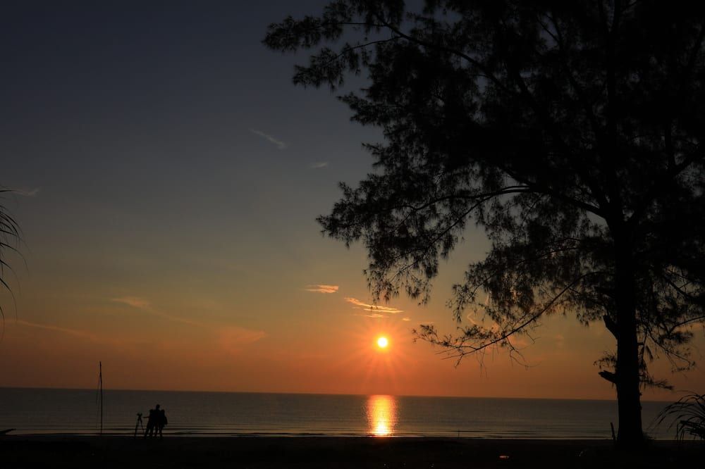 Pemandangan luar