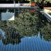 Kolam renang