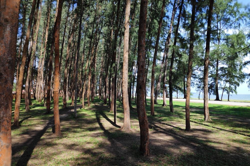 Pemandangan luar