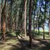 Pemandangan luar