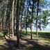 Pemandangan luar