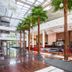 Lobi