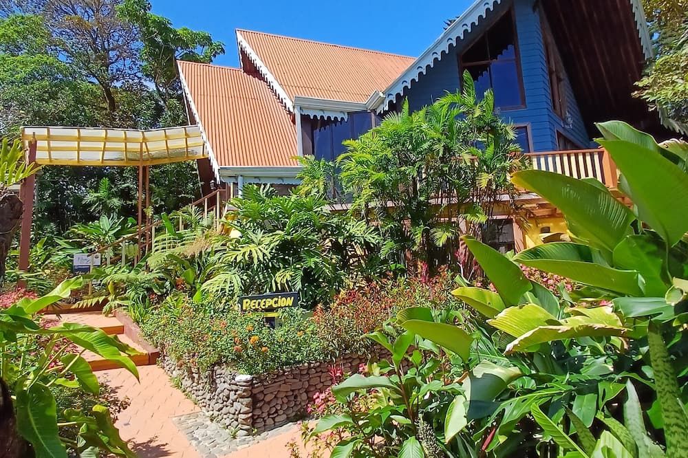 Pemandangan luar