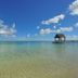 Gim