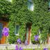 Pemandangan luar