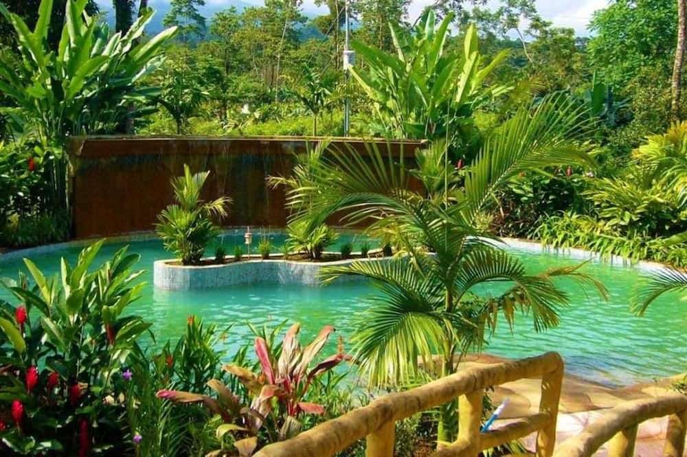Kolam renang