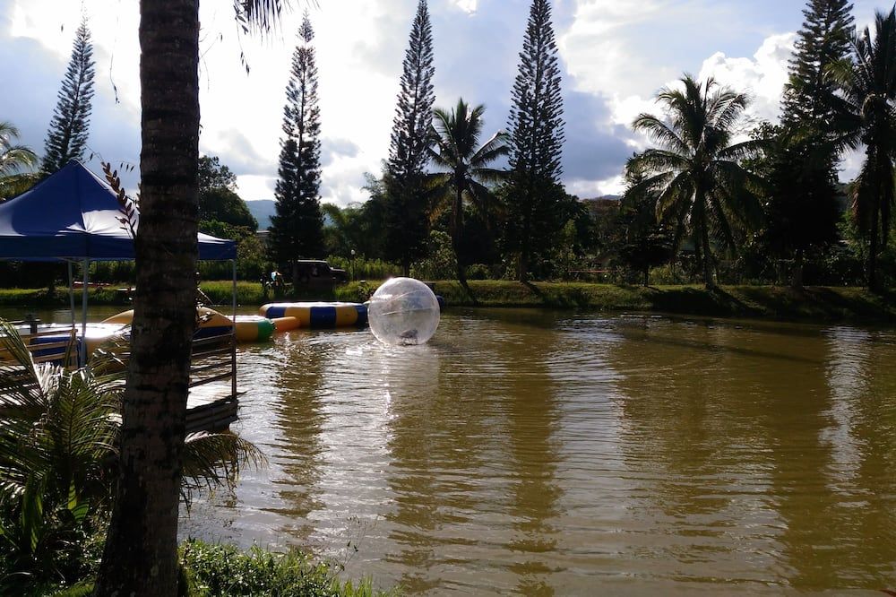 Pemandangan luar
