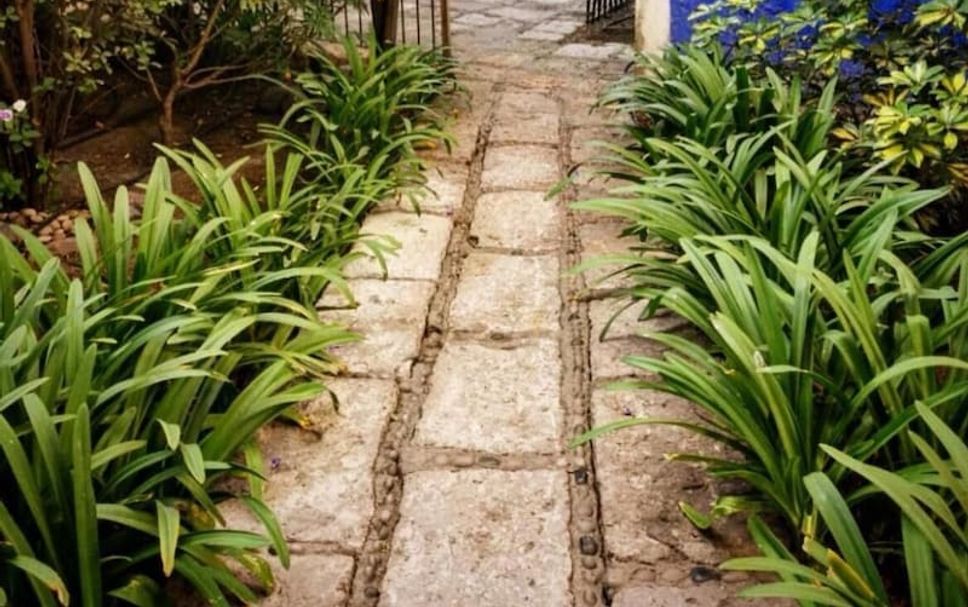 Pemandangan luar Gambar