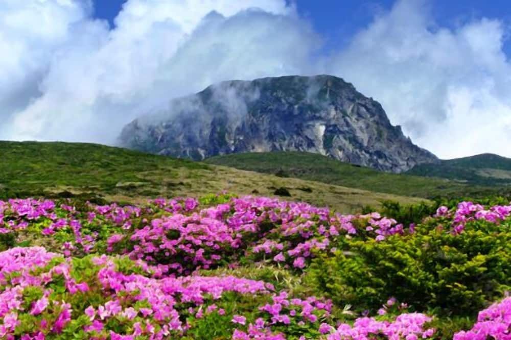 Pemandangan luar