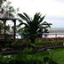 Pemandangan luar