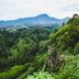 Pemandangan luar