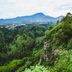 Pemandangan luar