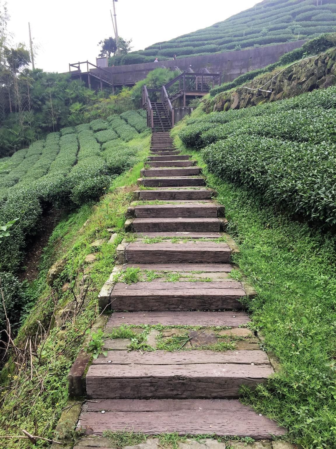 Pemandangan luar