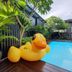 Kolam renang