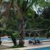 Kolam renang