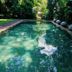 Kolam renang
