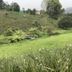 Pemandangan luar
