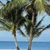 Pantai