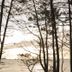 Pemandangan luar
