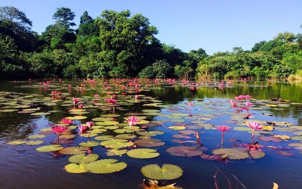 Pemandangan luar Gambar