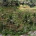 Pemandangan luar