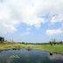 Pemandangan luar