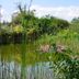 Pemandangan luar