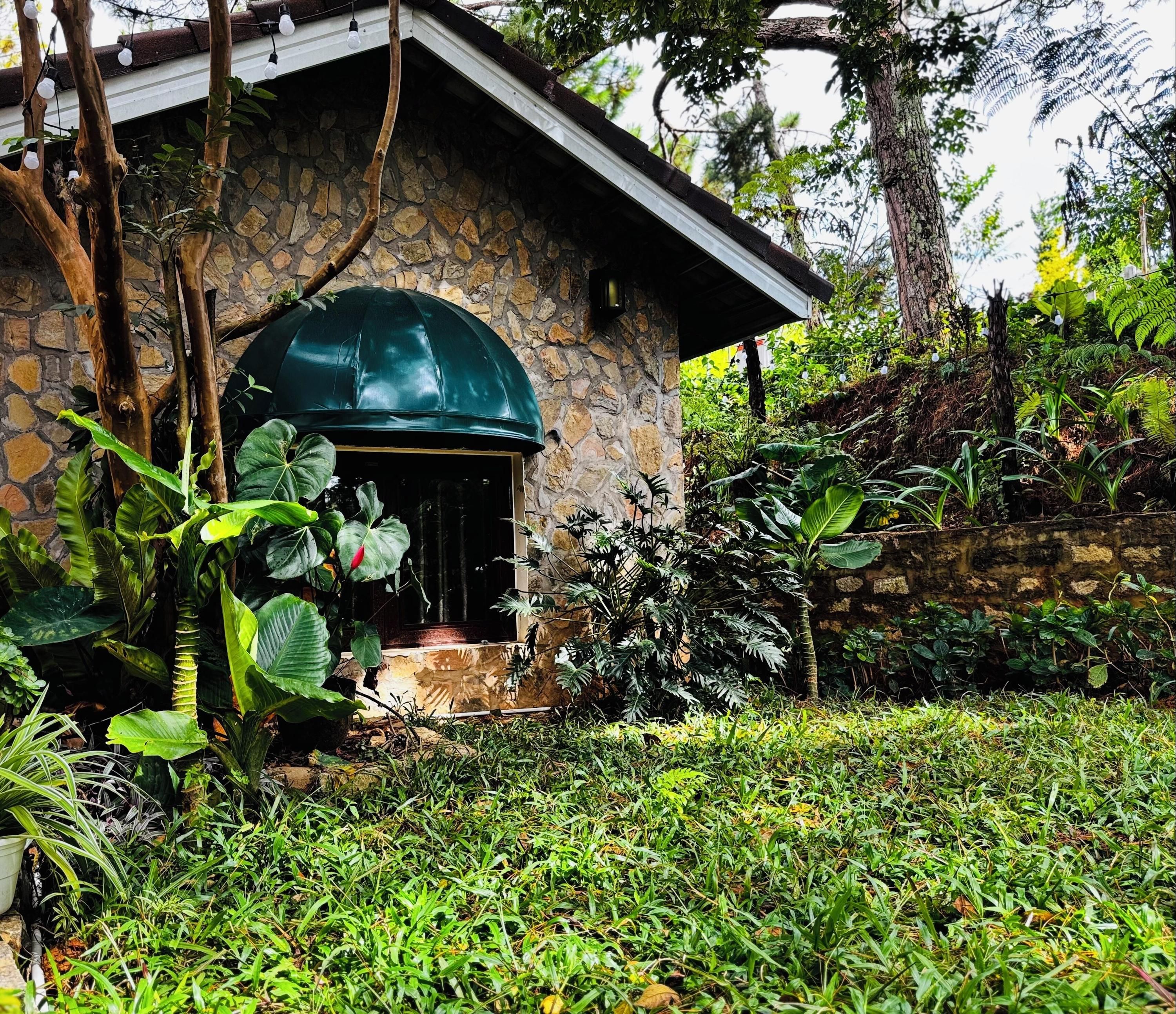 Pemandangan luar