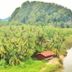 Pemandangan luar
