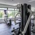 Gim