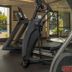 Gim
