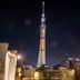 Lain-lain
