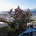 Balkoni