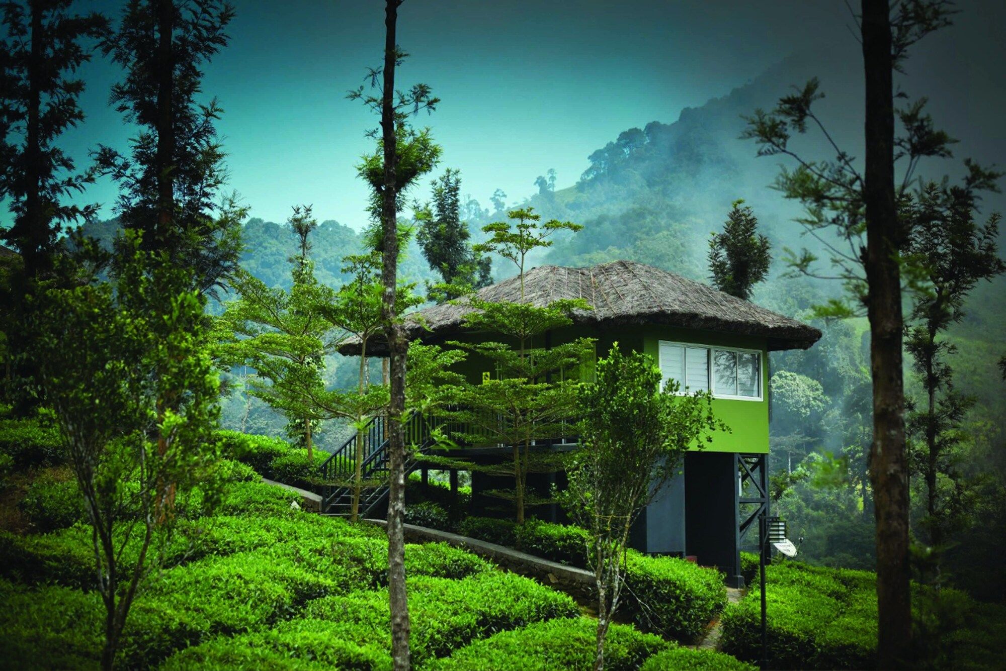 Pemandangan luar