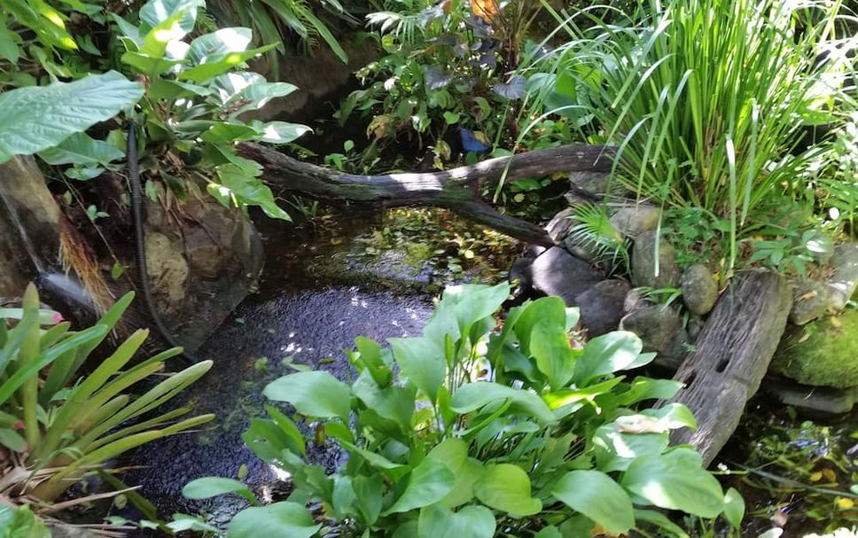 Pemandangan luar Gambar