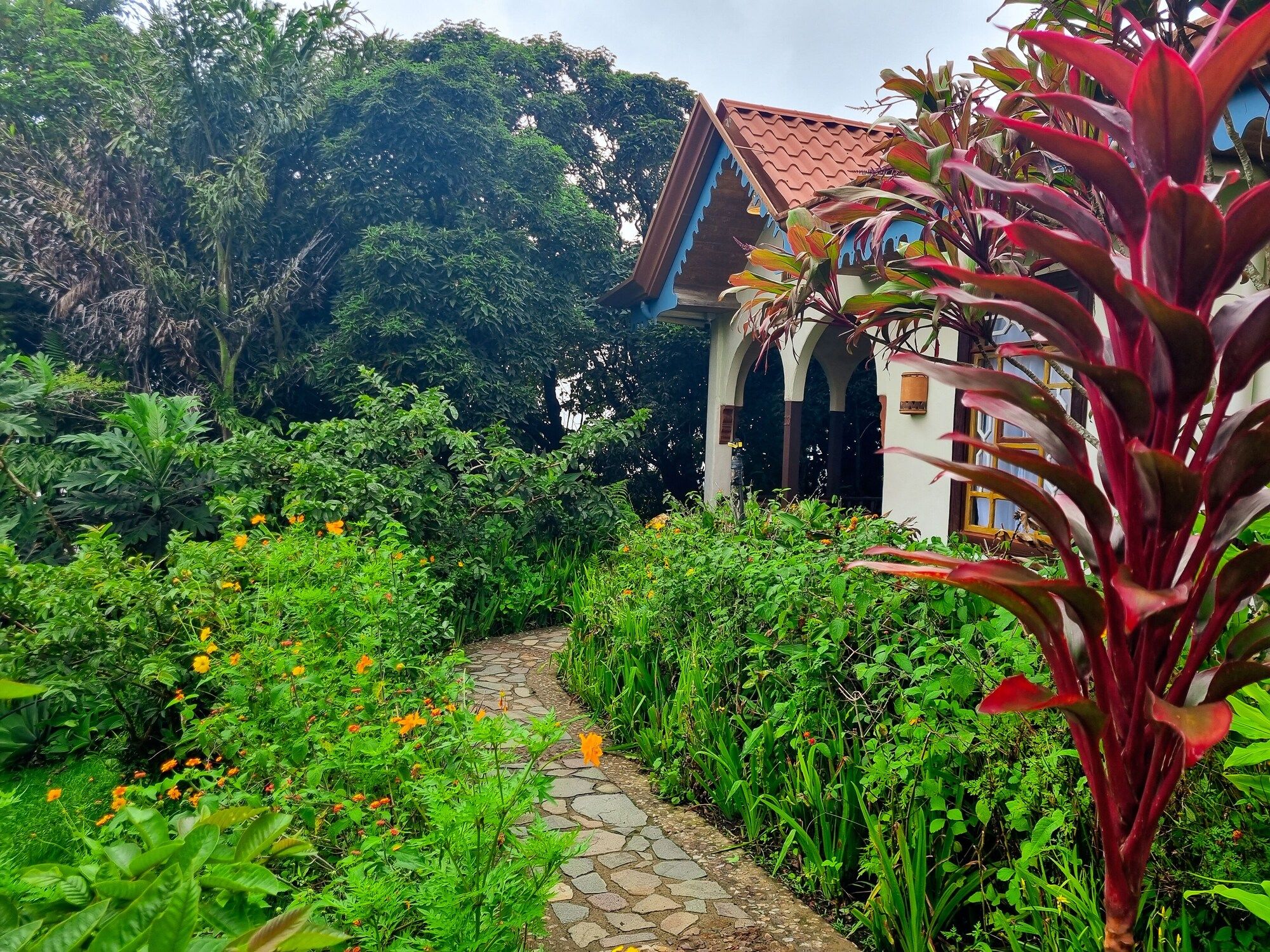 Pemandangan luar