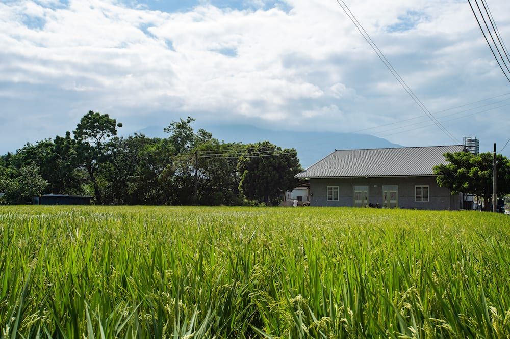 Pemandangan luar