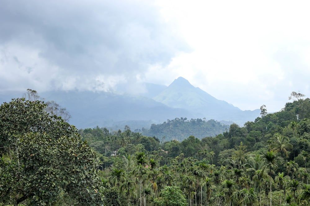 Pemandangan luar