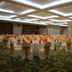 Dewan bankuet