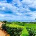 Pemandangan luar