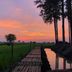 Pemandangan luar