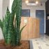 Lain-lain